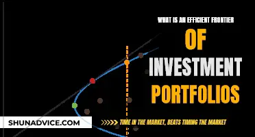 Understanding the Efficient Frontier: Maximizing Investment Portfolio Returns