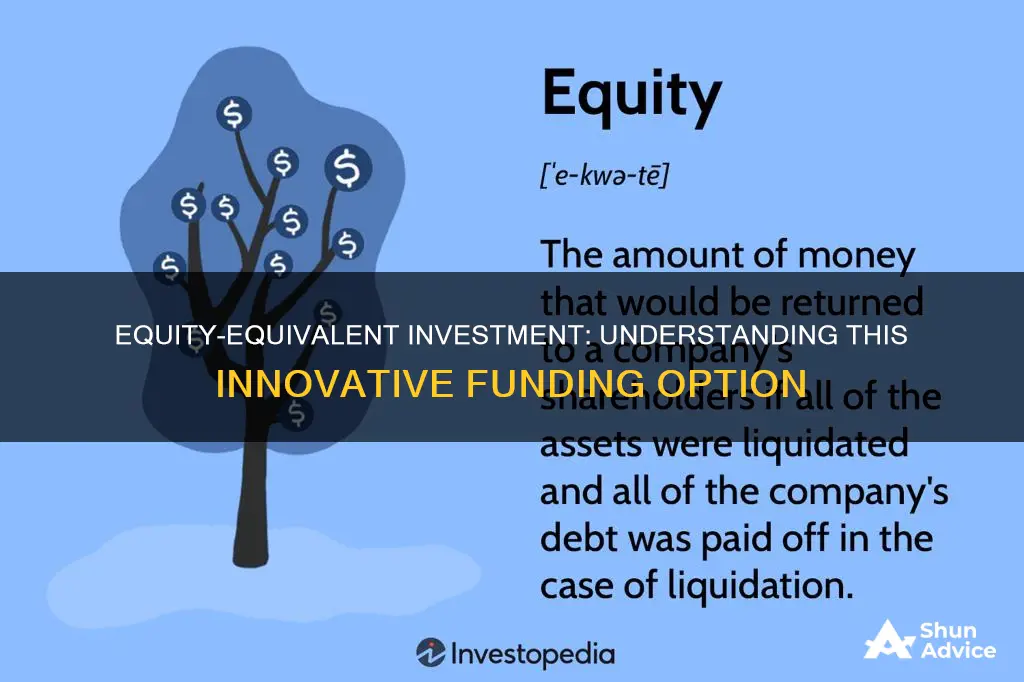 what is an equity equivalent investment