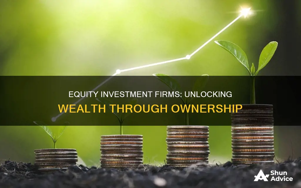 what is an equity investment firm