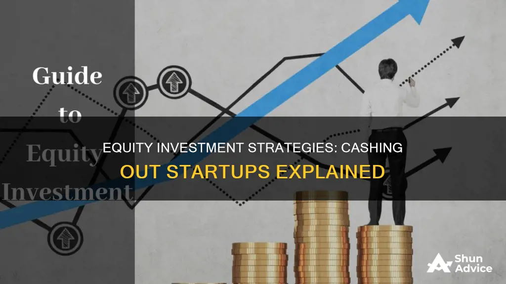 what is an equity investment with cash out startup