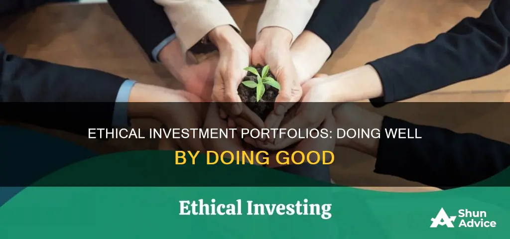 what is an ethical investment portfolio