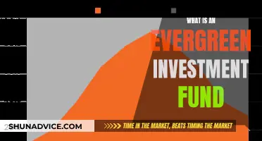 Evergreen Investment Funds: Long-Term Financial Strategies