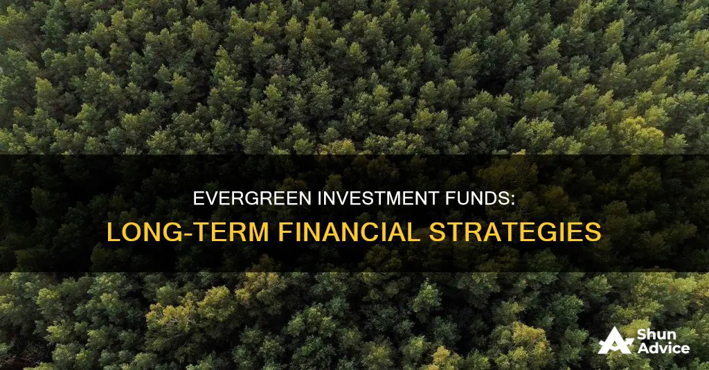 what is an evergreen investment fund