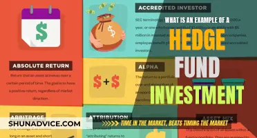 Hedge Fund Investment: An Example Explained