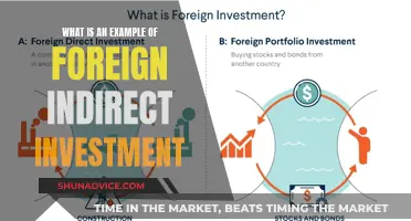 Unlocking Global Growth: Exploring Foreign Indirect Investment Strategies