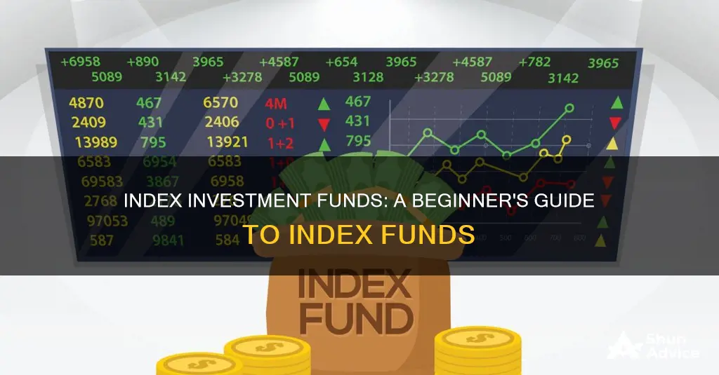 what is an index investment fund