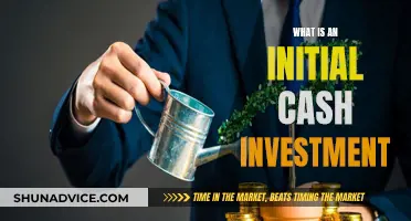 Understanding Initial Cash Investment: First Steps for Entrepreneurs