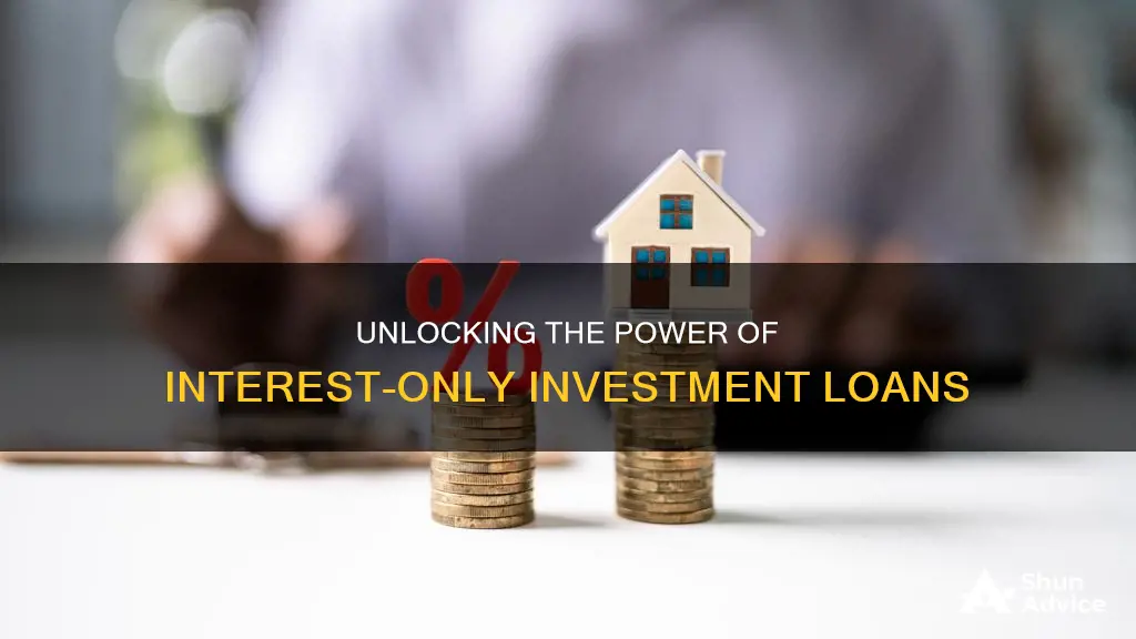 what is an interest only investment loan