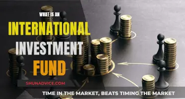 Understanding International Investment Funds: Global Money Management