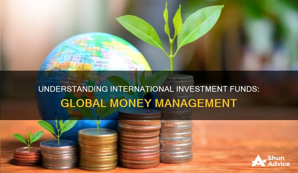 what is an international investment fund