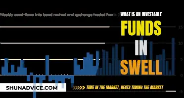 Swell's Investable Funds: What's the Investment Secret?