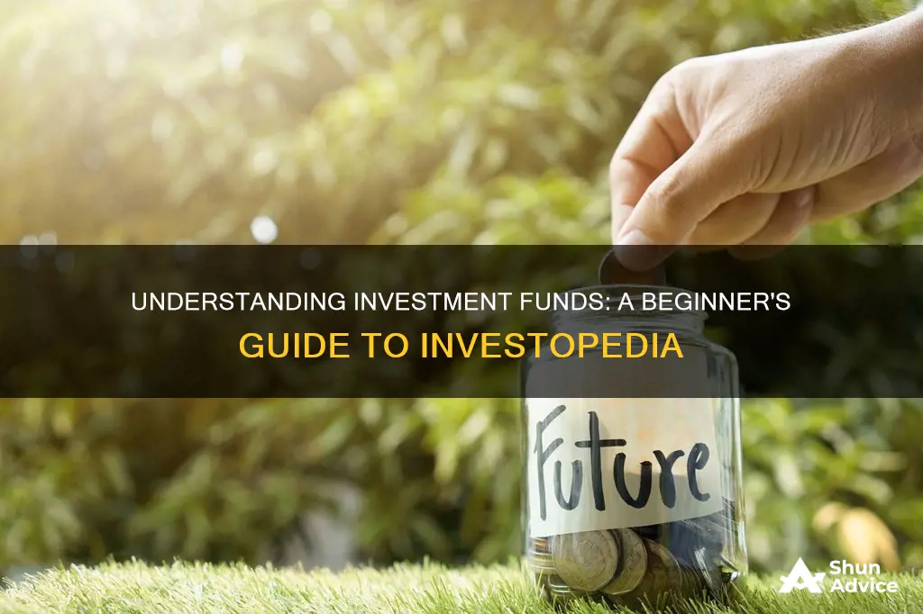 what is an investment fund investopedia