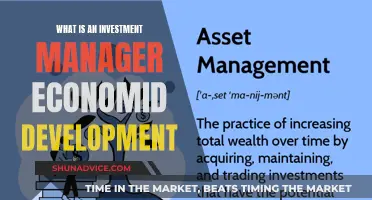 Investment Managers: Economic Development's Unseen Architects