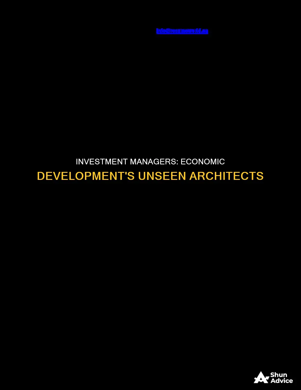 what is an investment manager economid development