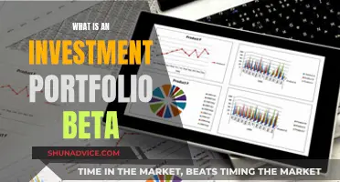 Understanding Investment Portfolio Beta: A Beginner's Guide