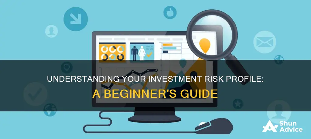 what is an investment risk profile