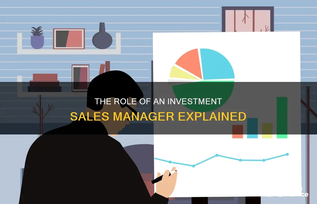 what is an investment sales manager