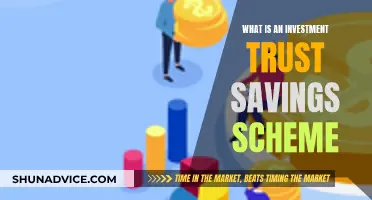 Investment Trust Savings Schemes: How Do They Work?