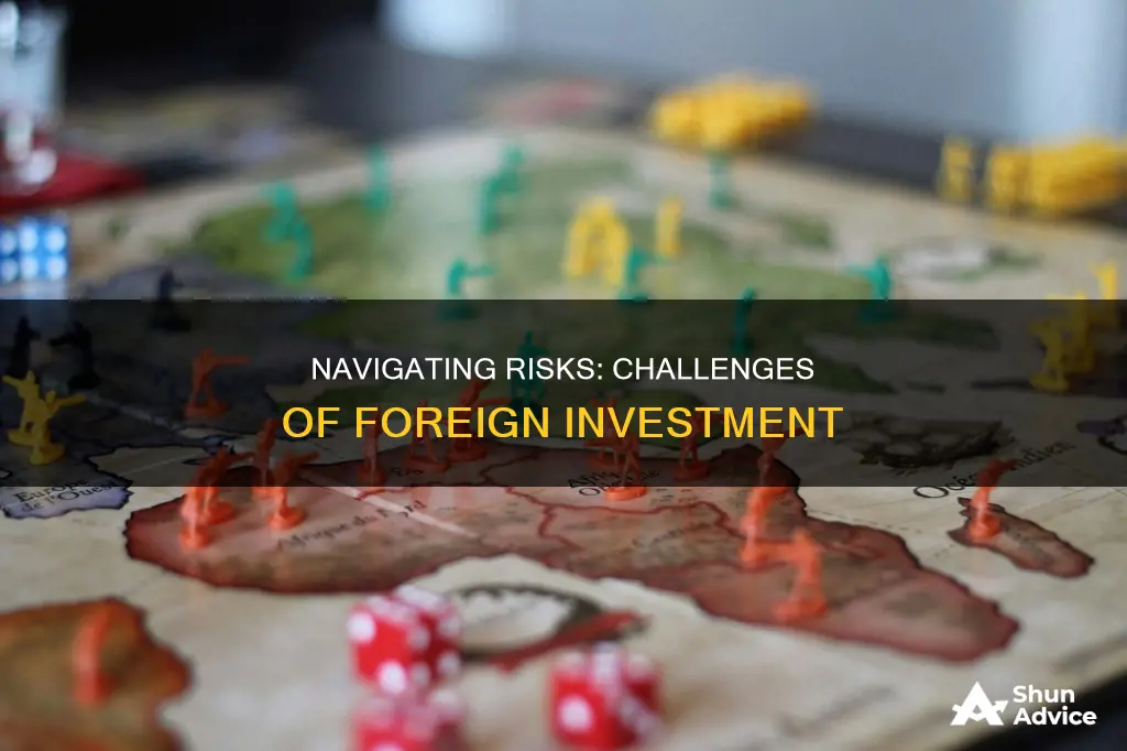 what is an issue when investing in foreign countries