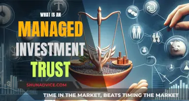 Understanding Managed Investment Trusts: A Comprehensive Guide