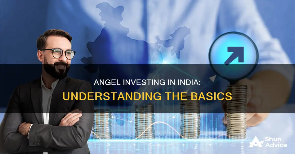 what is angel investing in india