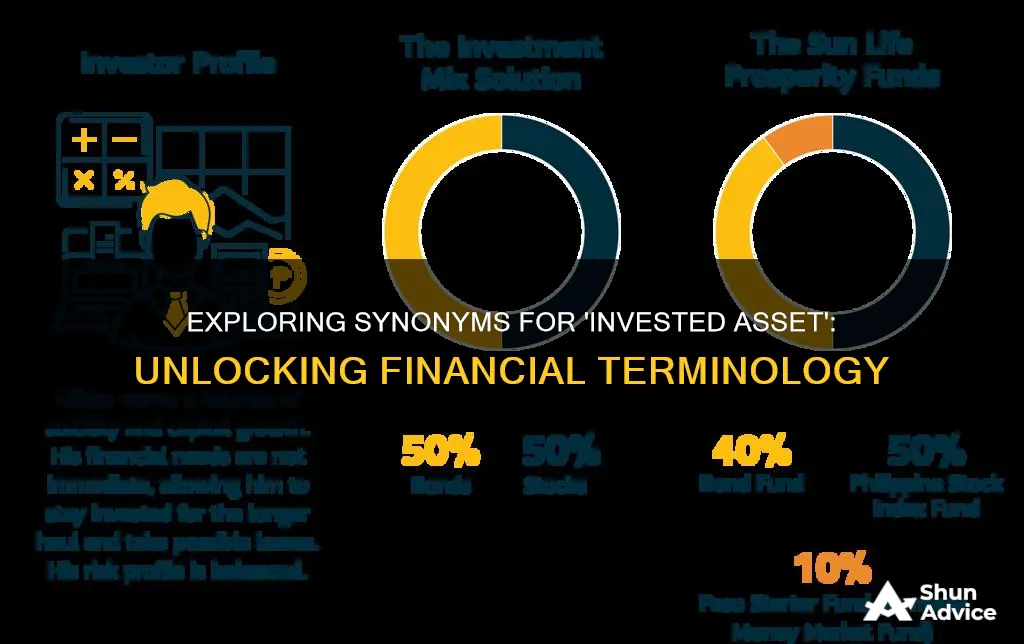 what is another term for invested asset