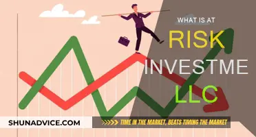 Understanding At-Risk Investment LLCs: Exploring the Risks and Rewards