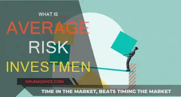 Understanding Risk: Average Risk Investment Explained