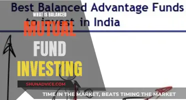 Mutual Fund Balancing Act: Investing Strategy for Beginners