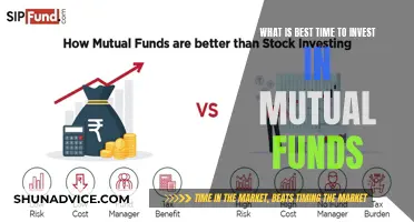 Mutual Funds: Best Time to Invest for Maximum Returns