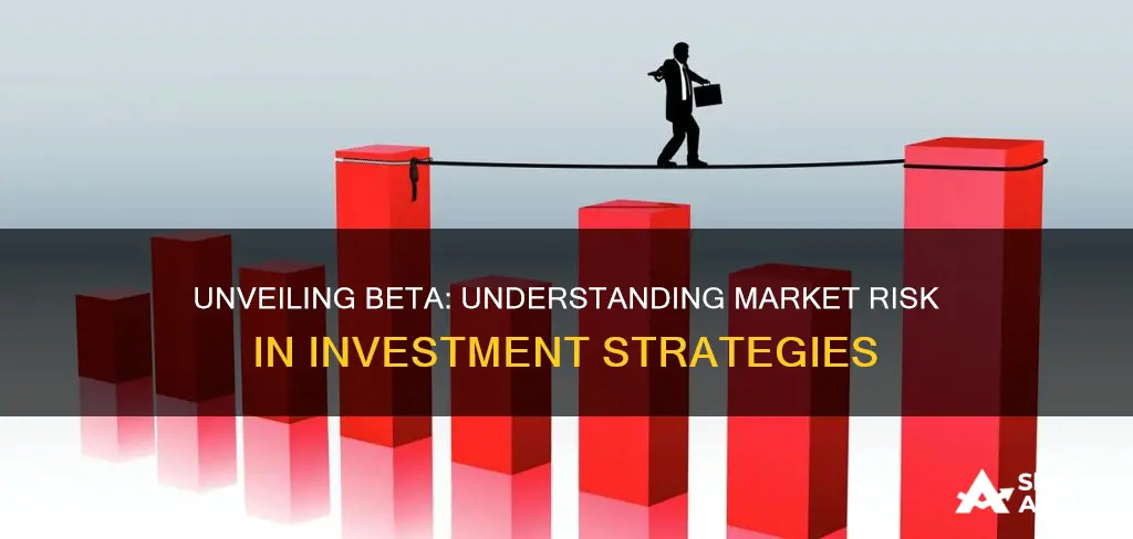 what is beta in terms of investment services