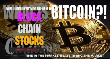 Bitcoin vs Blockchain Stocks: Which is the Better Investment?