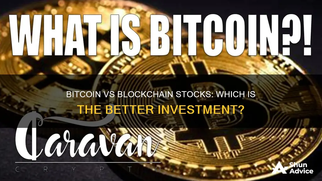 what is better investment bitcoin or the block chain stocks