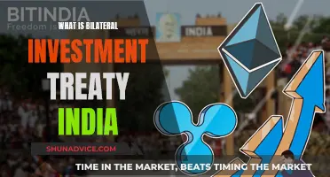 India's Bilateral Investment Treaty: Benefits and Challenges