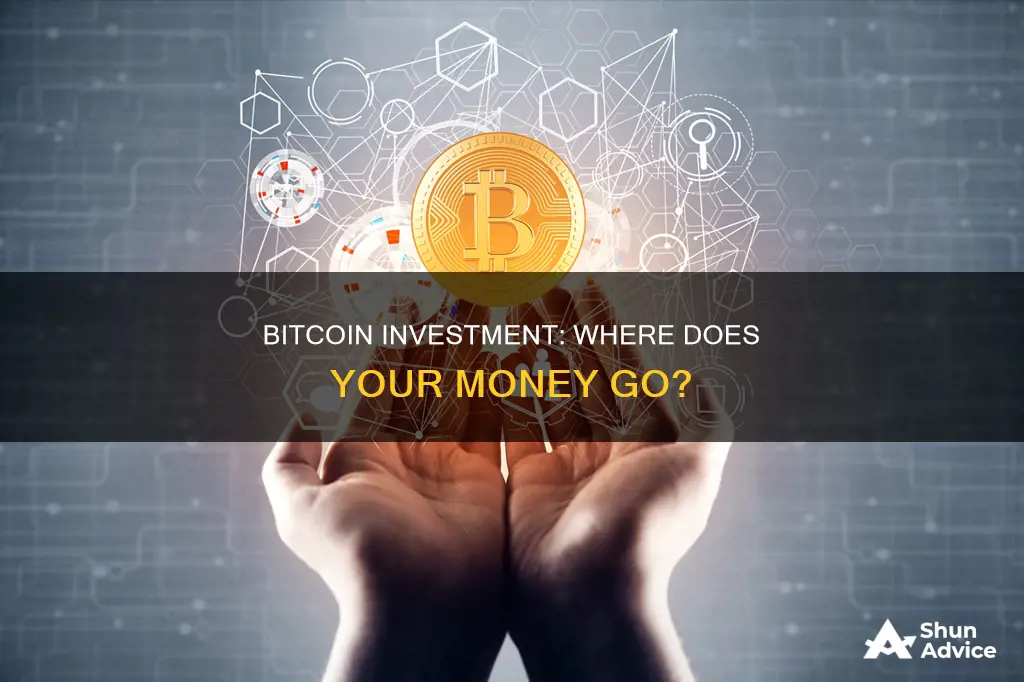 what is bitcoin invested in