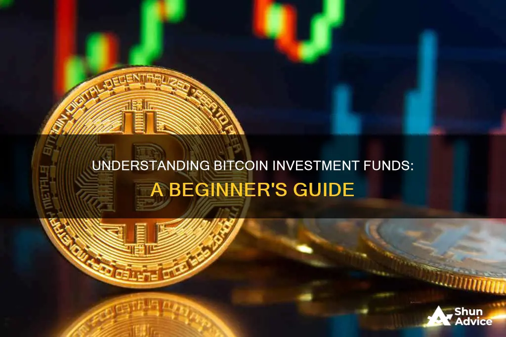 what is bitcoin investment fund