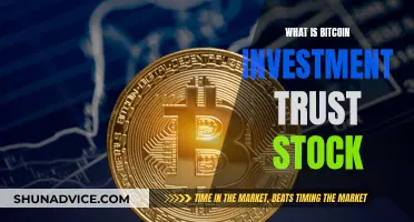 Understanding the Bitcoin Investment Trust Stock