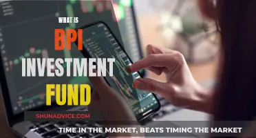 BPI Investment Fund: What Investors Need to Know