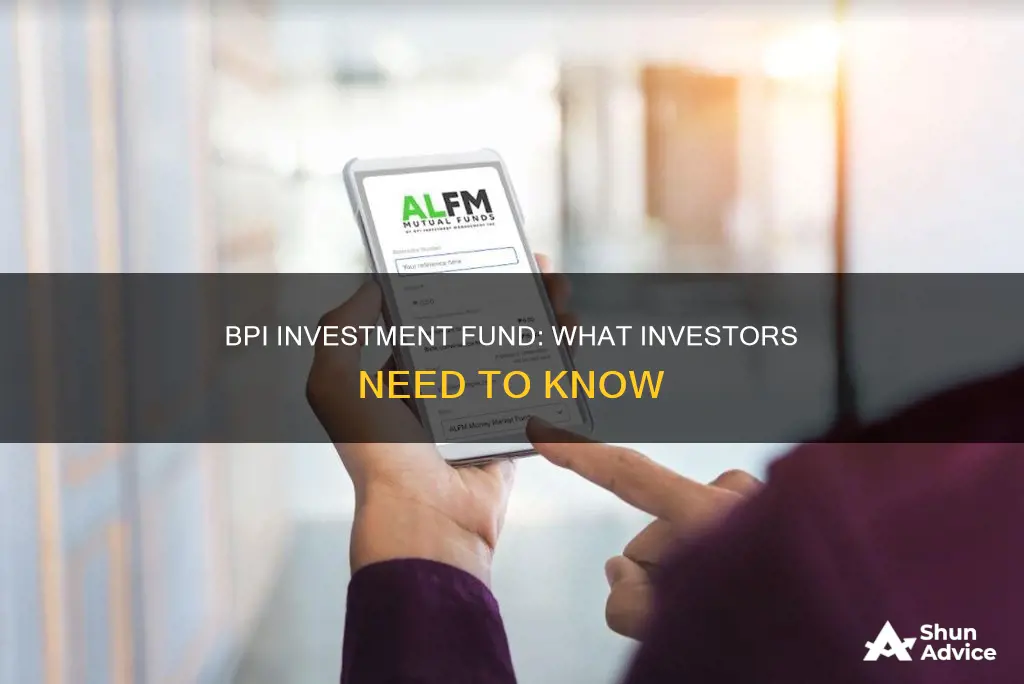 what is bpi investment fund