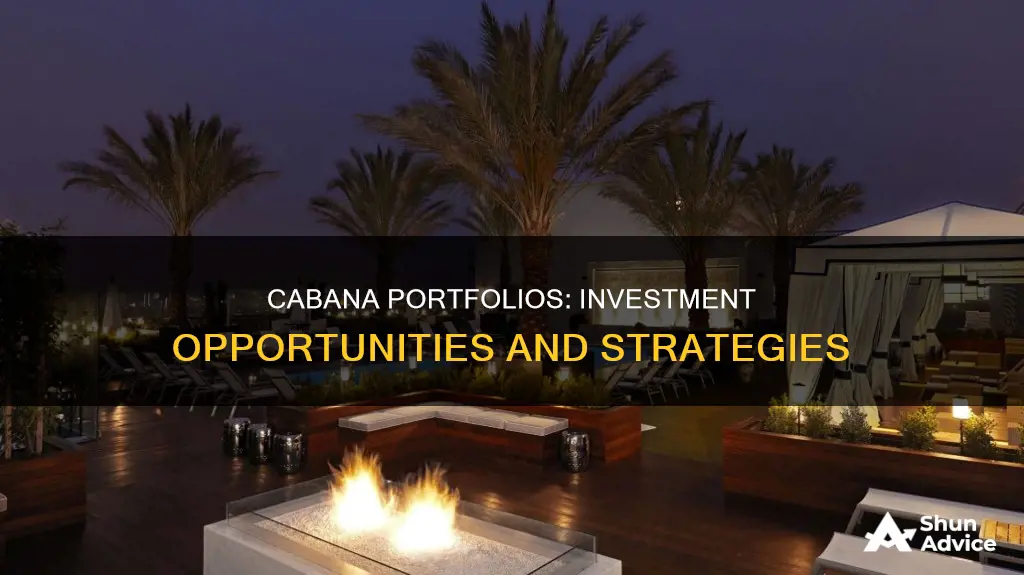 what is cabana portfolios invest in