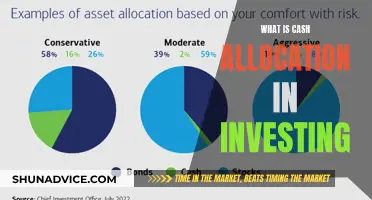 Cash Allocation Strategies: Investing Basics Explained