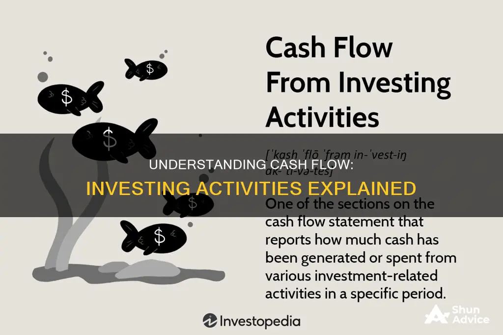 what is cash flow from investing activities