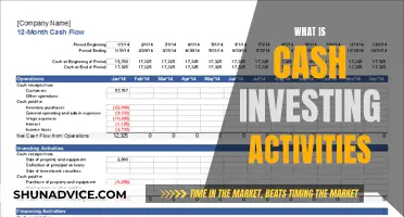 Understanding Cash Investing Activities: A Beginner's Guide