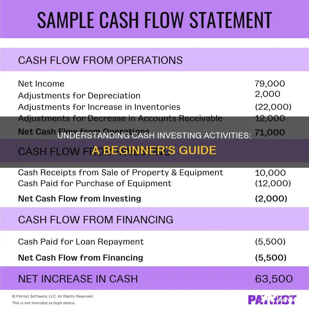 what is cash investing activities