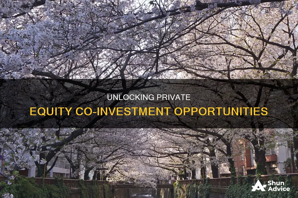 what is co investment in private equity