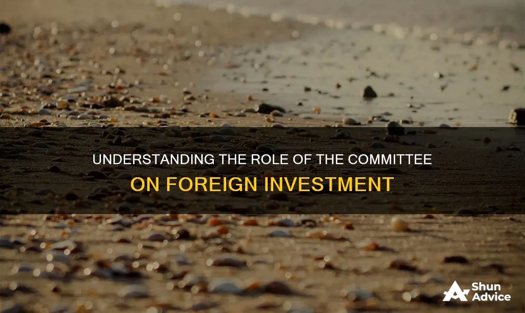 what is committee on foreign investment