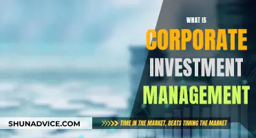 Corporate Investment Management: Strategies for Business Growth