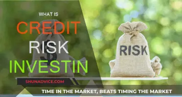 Credit Risk Investing: Understanding the Basics