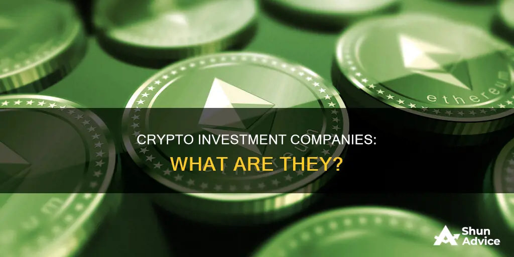 what is crypto investment company