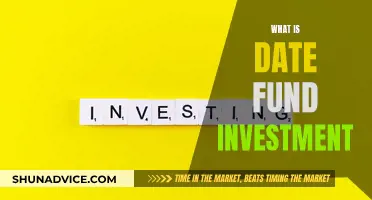 Date Fund Investment: How and When to Invest